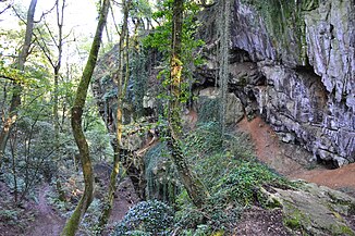 Schmerling grotten