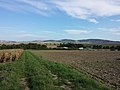 Blick von Westen auf die südliche Waschbergzone (Steinberg, Grillenberg, Michelberg, Waschberg)