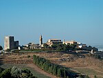 Die Olivenhain-Landschaften von Andalusien