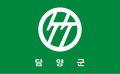 담양군의 기 (1979년-2000년)