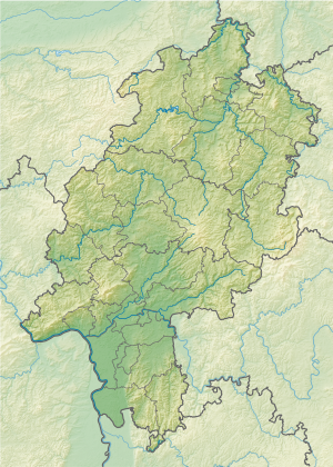 Maulbeeraue (Hessen)