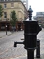 Image 7A pump memorializing John Snow for his study of contaminated water as a likely source of cholera during the 1854 Broad Street Cholera outbreak (from History of cholera)