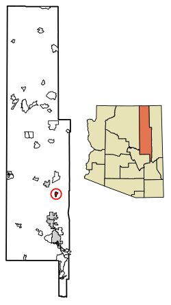 Location of Woodruff in Navajo County, Arizona.