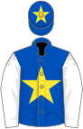 Royal blue, yellow star, white sleeves, royal blue cap, yellow star