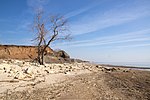 The coast of the Sea of Azov in Taganrog Bay