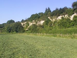 Kalksteenlaag aan de rand van het dal van de Alme bij Kirchborchen