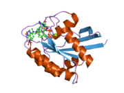 2cl6: CRYSTAL STRUCTURE ANALYSIS OF A FLUORESCENT FORM OF H-RAS P21 IN COMPLEX WITH S-CAGED GTP