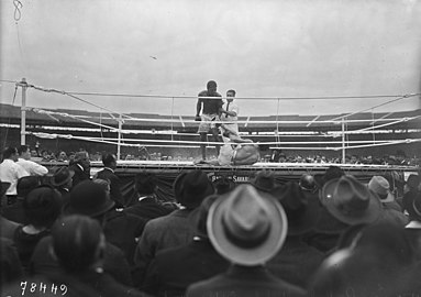 Georges Carpentier est au sol, il ne se relèvera pas.