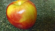 Whole Envy apple on stone countertop with coin positioned out-of-focus to right.