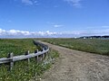 Dune à Val-Comeau