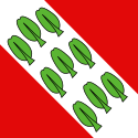 Münchenbuchsee - Bandera