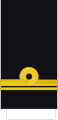 Teniente (Colombian Naval Infantry)[87]