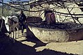 The olive grinding mill, High Atlas (Morocco)