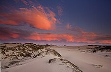 Oceano Dunes