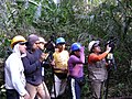 Treballador per a l'inventari forestal nacional del Perú.