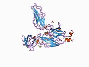 1bqu: CYTOKYNE-BINDING REGION OF GP130