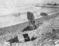 Wexford victims ashore, 1913