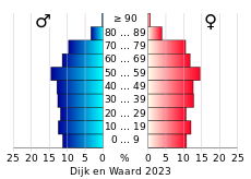 Bevolkingspiramide van de gemeente Dijk en Waard