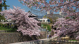 Shukugawa Park we Nishinomiyi