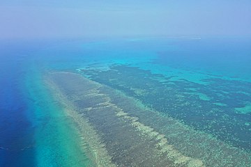 Southern edge of Pratas Atoll (Pratas Island can be seen in the distance)