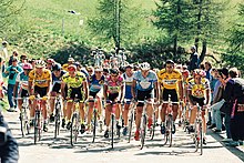 A group of cyclists riding up an inclined road.