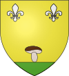 Blason