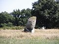 L'alignement de menhirs de Bringuerault.