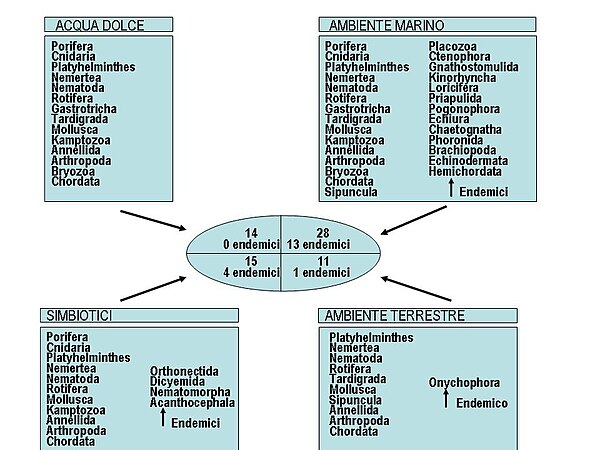 La distribuzione nei vari ambienti degli animali