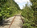 Det tilgroede spor nær Rødekro Station med kørestrømsmasten i baggrunden