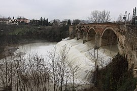 Bidente mit Ponte dei Veneziani