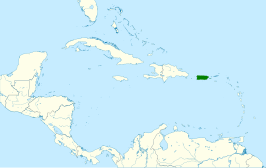 Puerto-Ricospecht