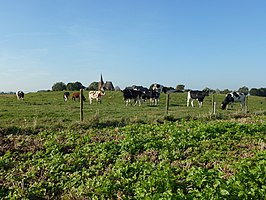 Het voormalige kasteelterrein in 2012