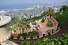 Haifa