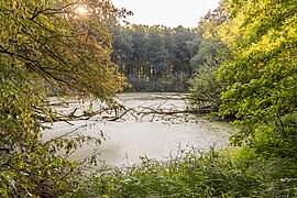 Oberer Egelsee