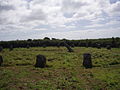 Image 18Boscawen-Un stone circle looking north (from History of Cornwall)