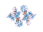 2b5l: Crystal Structure of DDB1 In Complex with Simian Virus 5 V Protein