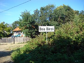 Intrarea în Boia Bârzii