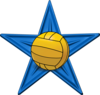 The Water Polo Barnstar