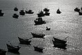 Fishing boats in harbour