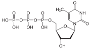 Tymidíntrifosfát