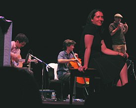 The Magnetic Fields на концерте в Лос-Анджелесе в 2004 году