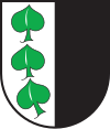 Coat of arms of Scharans