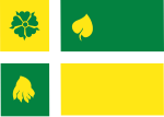 Vlag van Hof van Twente