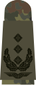 Aufschiebeschlaufe Feldanzug Dienstanzug Luftwaffenuniformträger Oberst