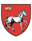 Blason de Județ de Iași