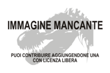 Immagine di Tassobox mancante