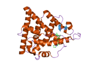 1yim: Human estrogen receptor alpha ligand-binding domain in complex with compound 4