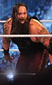 24. August: Bray Wyatt (2014)