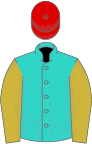 Turquoise, old gold sleeves, red cap