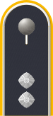 Dienstgradabzeichen auf der Schulterklappe der Jacke des Dienstanzuges für Luftwaffenuniformträger.